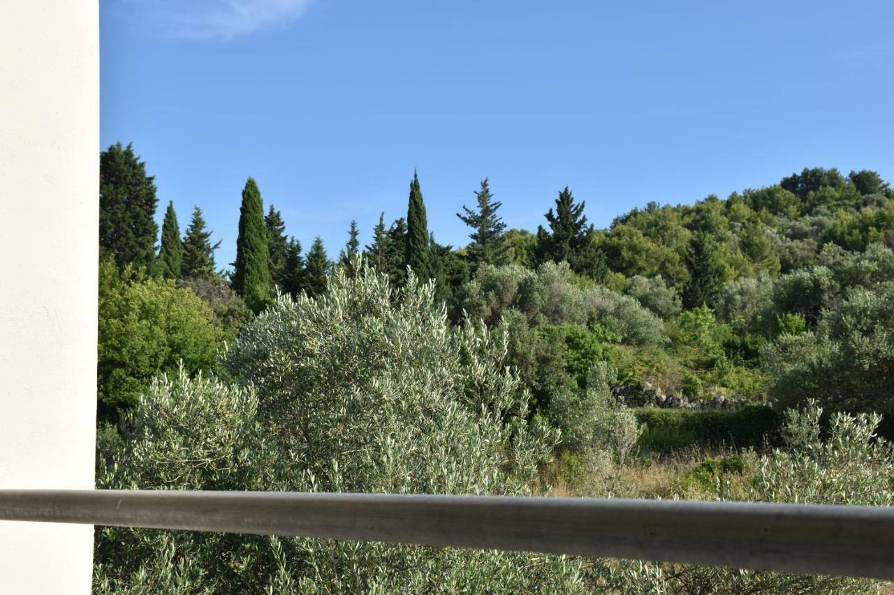 Villa Banjka Exteriér fotografie